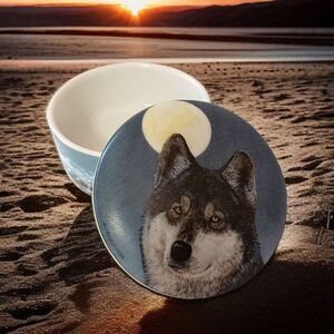 Wolf Porcelain Music Box Artic Majesty‎ Nightwatch Jon Van Zyle Vtg 1995 VIDEO